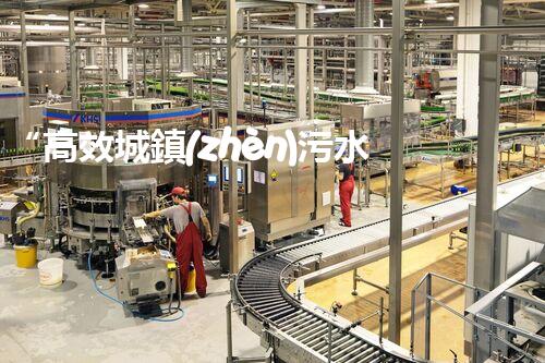 “高效城鎮(zhèn)污水處理流程，守護(hù)碧水藍(lán)天新篇章”